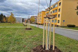 Věk obyvatel roste. Přivábí nové domy a byty mladé rodiny?