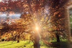 Během mrazivých dnů vás zahřeje Příroda v Malé scéně