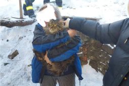 Mňau mise splněna: Hasiči vytáhli kočku z úzké trubky