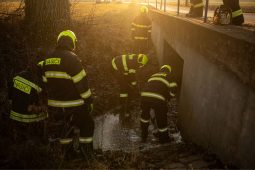 Hasiči v Dobrušce řešili rozsáhlý únik digestátu z bioplynové stanice