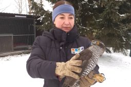 Rekordní počet zásahů i zvířat v nouzi. Rok 2025 patřil v liberecké Arše k nejnáročnějším v historii