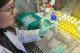 Zlínští vědci vyvíjí unikátní model lidského střeva. Může nahradit pokusy na zvířatech