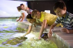 Odměna za vysvědčení? Návštěva zoo za pouhou korunu!