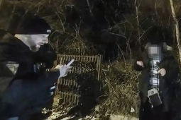 Noční zásah v Plzni: Strážníci našli celostátně hledaného muže!