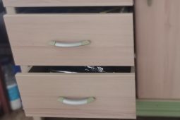 Co v uplynulém roce lidé hlásili na policejní tísňovou linku? Od vraždy slepice až po strašidelný byt