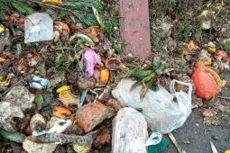 Nelegální skládky i znečištěný bioodpad. Hradiště volá po větší ohleduplnosti