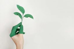 Turek vládním zmocněncem pro Green Deal. „Už to chci mít z krku,“ shrnul Babiš. Řešení vyvolává řadu otázek