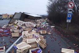 U Mikulova havaroval kamion plný jablek