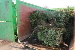 Svoz vánočních stromků v Ostravě: Do dvora nemusíte, kontejnery budou před byty