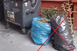 Ve Zlíně začíná svoz vánočních stromků