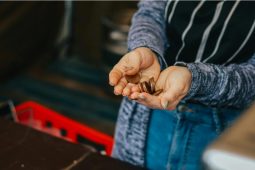 Vláda schválila návrh státního rozpočtu: více peněz na platy a dopravu, méně na obranu