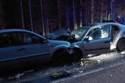 Senior na Pelhřimovsku napálil do protijedoucího auta. Jeho řidič měl pozitivní drogový test