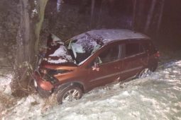 Mladý řidič na Žďársku zdemoloval auto o strom. Měl upito a nezvládl zatáčku