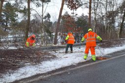 Zima na dálnicích: když sypače nestačí, nastupují motorové pily