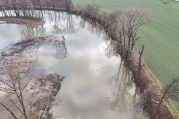 Z mrtvého živé. Rameno na jihu Olomouce pomáhá chránit město před velkou vodou