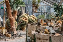 Zima končí, zeleň volá. Sbírkové skleníky v olomouckých Smetanových sadech se znovu otevírají