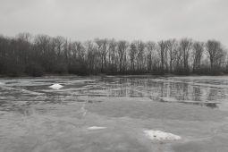 Teploty se podepsaly na kvalitě ledu, brněnské vodní plochy nejsou bezpečné