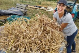 Město rozšíří komunitní farmaření v Jinonicích. Přidá další pozemky