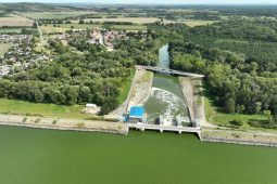 Závěrečná zpráva Mendelovy univerzity v Brně potvrdila příčinu úhynu ryb v Dyji