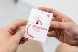 Prvodárců krve přibylo. Nemocnice hlásí pozitivní trend