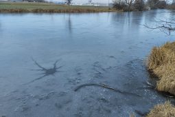 Led na brněnských vodních plochách je rizikový, ani náhlé ochlazení nepomohlo