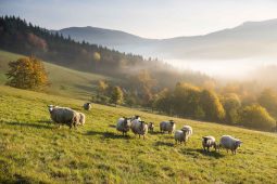 Valašsko očima obyvatel. Startuje oblíbená fotografická soutěž