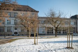 Nově vysazené stromy a keře nahradily vykácené dřeviny