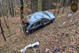 Auto v Bohuslavicích sjelo ze silnice a zastavilo se o stromy