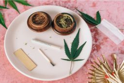 Za užívání konopí by nemělo hrozit vězení, upozorňuje protidrogový koordinátor. To léčebné přitom stále není dostupné tak, jak by mohlo