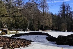 Lázně Karlova Studánka nesouhlasí se stavbou Domu přírody. Budova by prý zasahovala do zdrojů vody a rašeliny