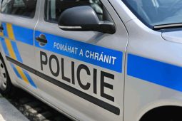 Auto vyčnívalo z řady. To přivedlo policisty k odhalení zloděje