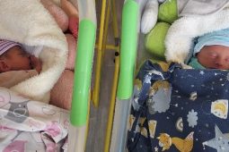 Rok pomoci nejmenším. Nedonošeným dětem v Jihlavě pomáhá darované mateřské mléko