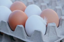 Vejce mohou zdražit až na 10 korun za kus. Ptačí chřipka i zákaz klecových chovů tlačí ceny nahoru