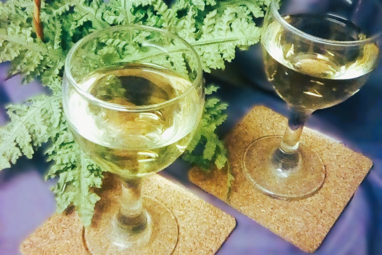 Táborský festival vína 2026 nabídne špičková vína, výjimečnou gastronomii a hvězdný kulturní program. Přijďte si užít jeho 18. ročník