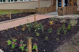 Nejenom kácení starých stromů a keřů. Benešov se opět zazelená