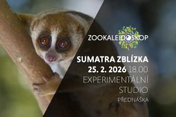 Od ochrany ohrožených zvířat na Sumatře k pěstování kávy. Liberecká zoo zve na cestu do džungle
