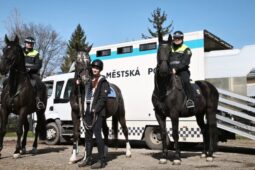 Spadla z koně a noha se jí zaklínila ve třmeni