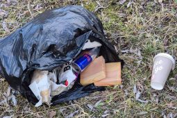 Pardubice čeká jarní úklid. Do ulic vyrazí dobrovolníci