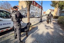 Třetina za třetinou. Jak se z poklidného čtvrtfinále stal celodenní maraton pro policii