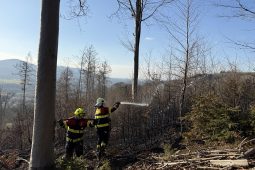 Pozor, hoří les! Hasiči museli vyhlásit III. stupeň poplachu, 19 jednotek na místě