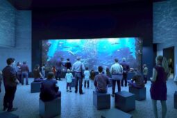 Největší žraločí akvárium v Česku? V olomoucké zoo začala stavba