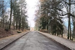 Cesta ke Svaté Hoře se změní. Svatohorskou alej čeká velká oprava