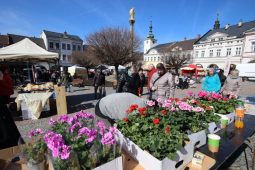 Farmářské a řemeslné trhy se opět vracejí do města