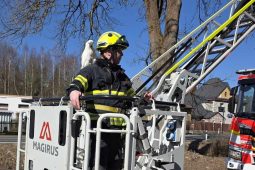 Pomůžete mi ze strrromu, prrrrosím? Jablonečtí hasiči zachránili vzácného papouška kakadu 