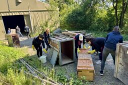 Zoo Brno staví expozici téměř vyhynulého jelena milu