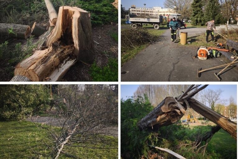 Park u Společenského domu prochází proměnou. Začalo kácení i příprava nové výsadby