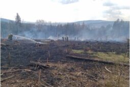 Hasiči bojovali s požárem lesa. Pomáhal jim dron