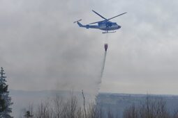 Na Vysočině hoří lesy i louky. Pálení trávy je zakázané, varuje hejtman Martin Kukla