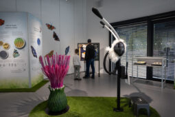 Do Fata Morgany se vracejí tropičtí motýli. Výstava začne už 2. dubna