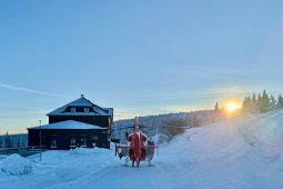 Záchranáři museli ošetřovat zraněné děti. Do Bílé letěl vrtulník